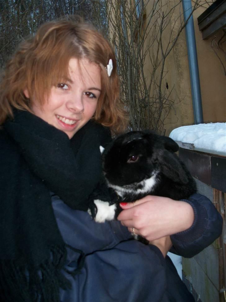 Kanin Olly - vinter 2009-2010 billede 11