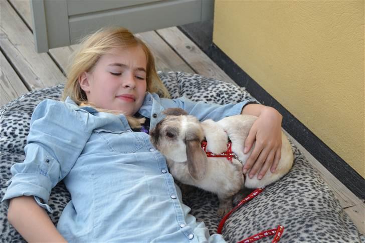 Kanin Eliot - Eliot og mig jeg ser lidt grim ud:P foto:mor billede 4