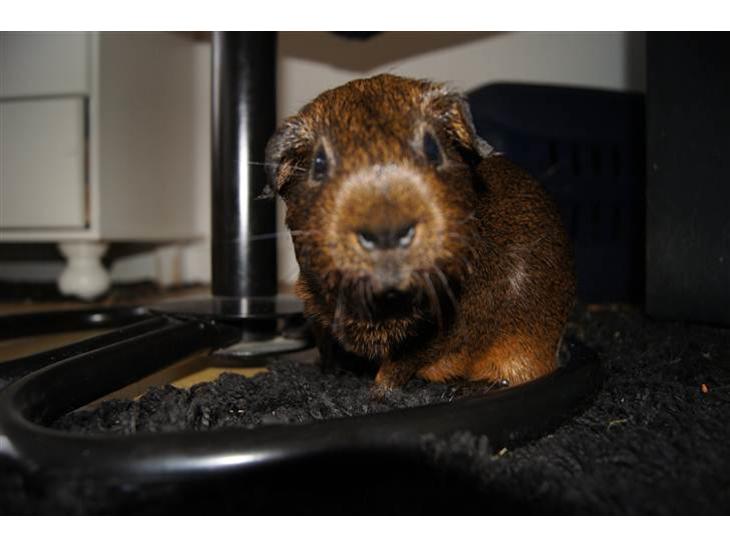 {{currentPhoto.altText}} billede {{currentPhoto.number}}