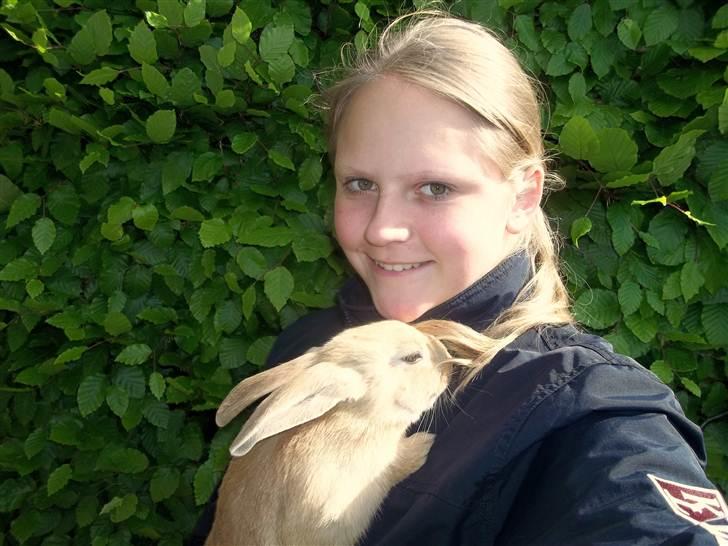 Kanin Stald trekløvers Domino  - Mig og Domino billede 4