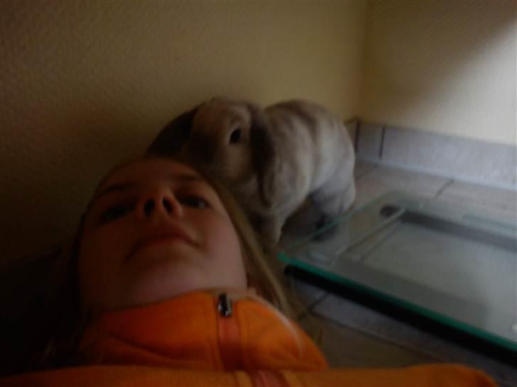 Kanin Nuller † R.I.P. - Har du lige været i bad? billede 17