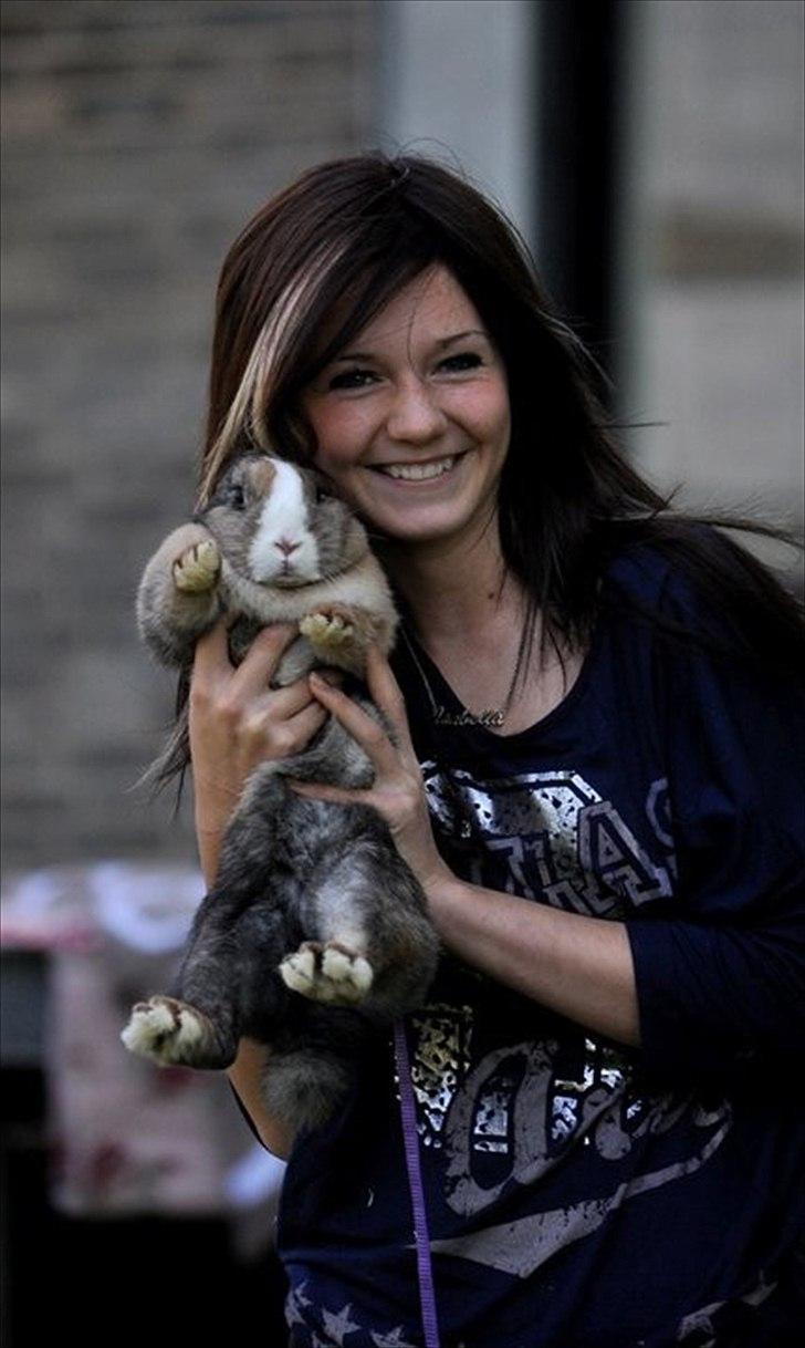 Kanin Madame Madea - Let lige d. 21/5 stævnet hos mig (-;
Chrisfoto billede 2