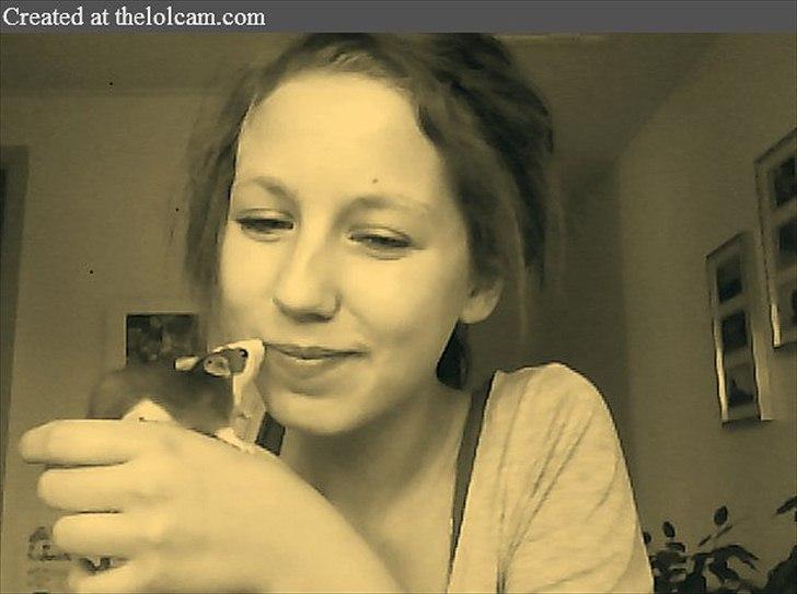 Tamrotte »•Visby's Frede•« billede 1