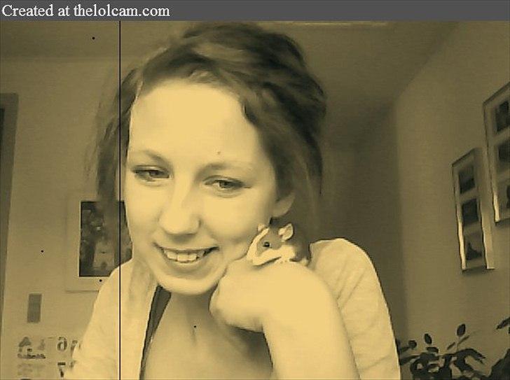 Tamrotte »•Visby's Frede•« billede 2