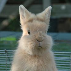 Kanin Bailey my Dream<3