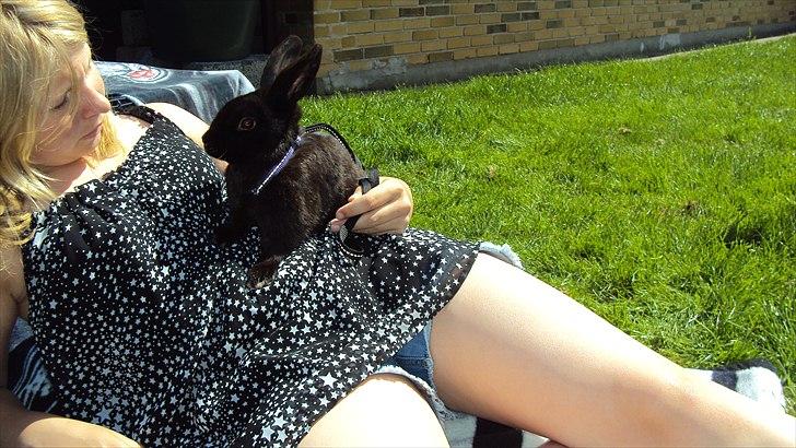 Kanin Stald Spir's Paradise Surprise - Mig og Bassen hygger os en varm sommerdag ;')
Jeg elsker dig :')<3 billede 4