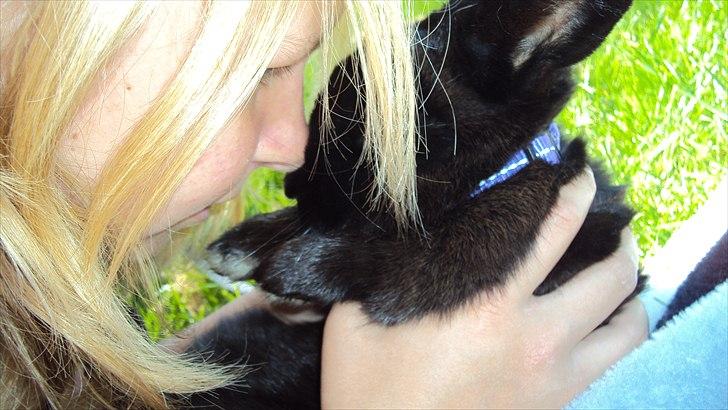 Kanin Stald Spir's Paradise Surprise - Two people, but only one soul..! :')<3 billede 9