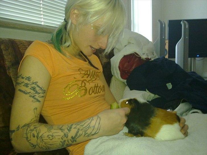 Marsvin  Henning R.I.P. ;( billede 11