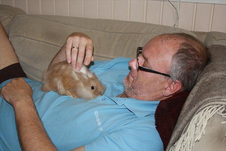 Kanin Muffin <3<3 - Nusse nusse mig... billede 4