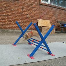 Kanin Beauty Princess | The One<3