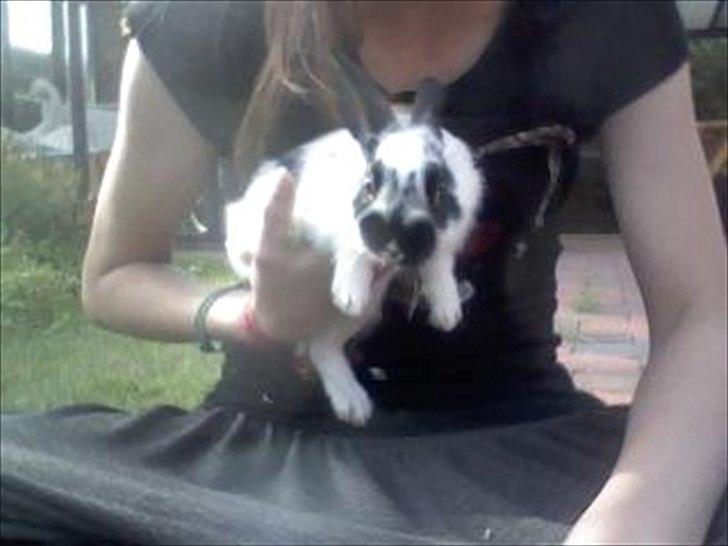 Kanin Jynx - Nurh?! <'333 billede 5