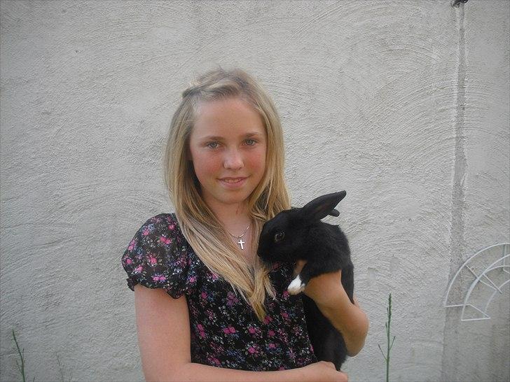 Kanin Sofiagaardens Rubber ball billede 9