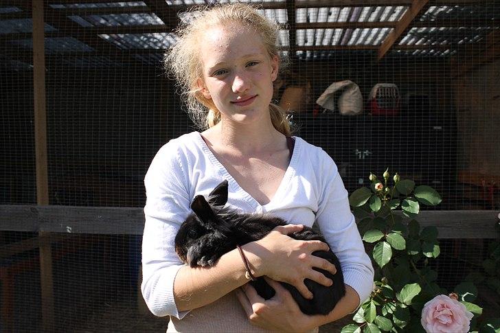 Kanin Knuttie billede 5