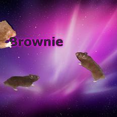 Hamster Malthes Brownie