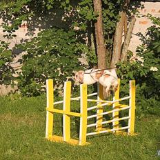 Kanin Riot's Cazador