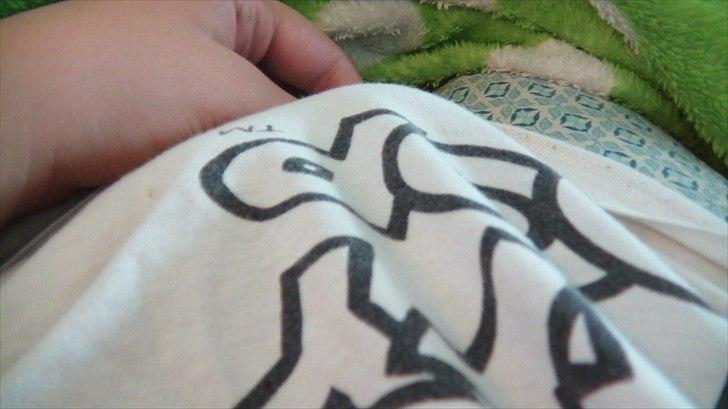 Marsvin | Molle | (Molly) - Hihi, hun Gemmer sig under min natkjole:D billede 9