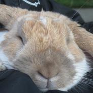 Kanin Boysen ( Boys <3) - mit et & alt <3 