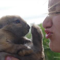 Kanin Fluffy l Bebse ~ Passede