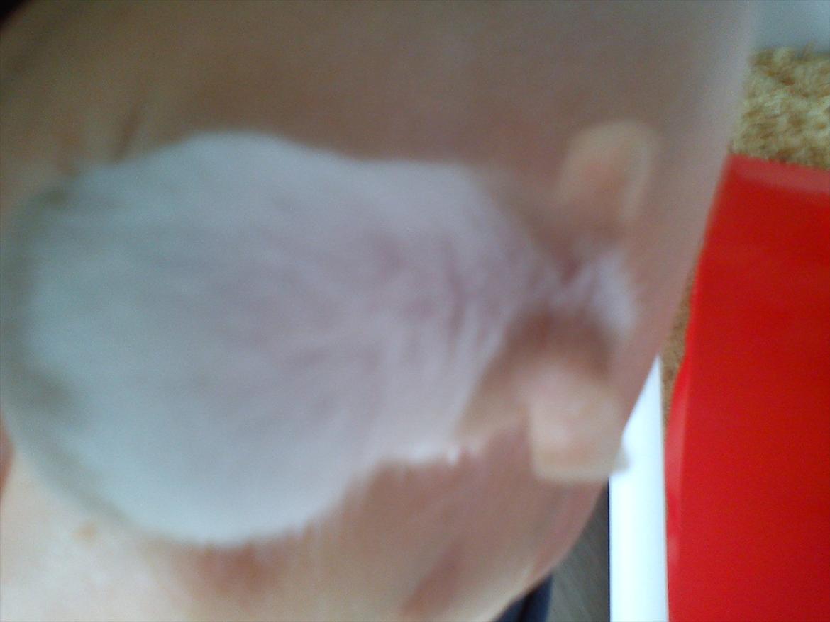 Mus 'Diamant billede 14