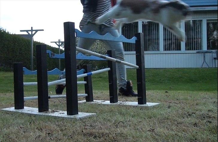 Kanin Rubin's Talaia Lavina - taget ud fra video. billede 5