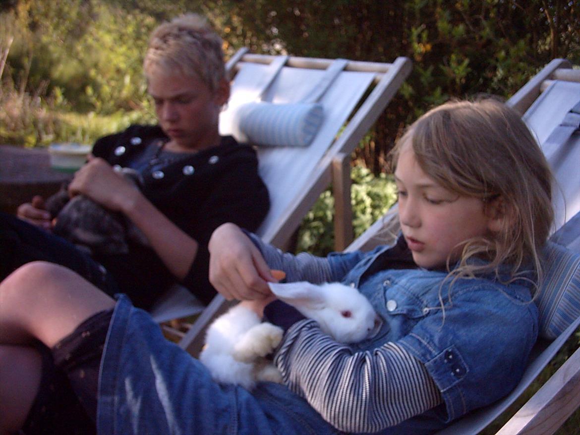 Kanin Snefnug RIP † :'(  billede 1