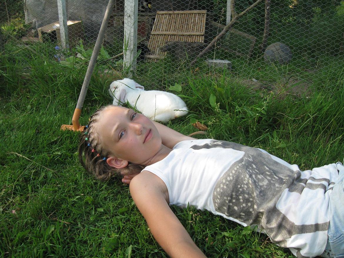 Kanin Snefnug RIP † :'(  billede 4