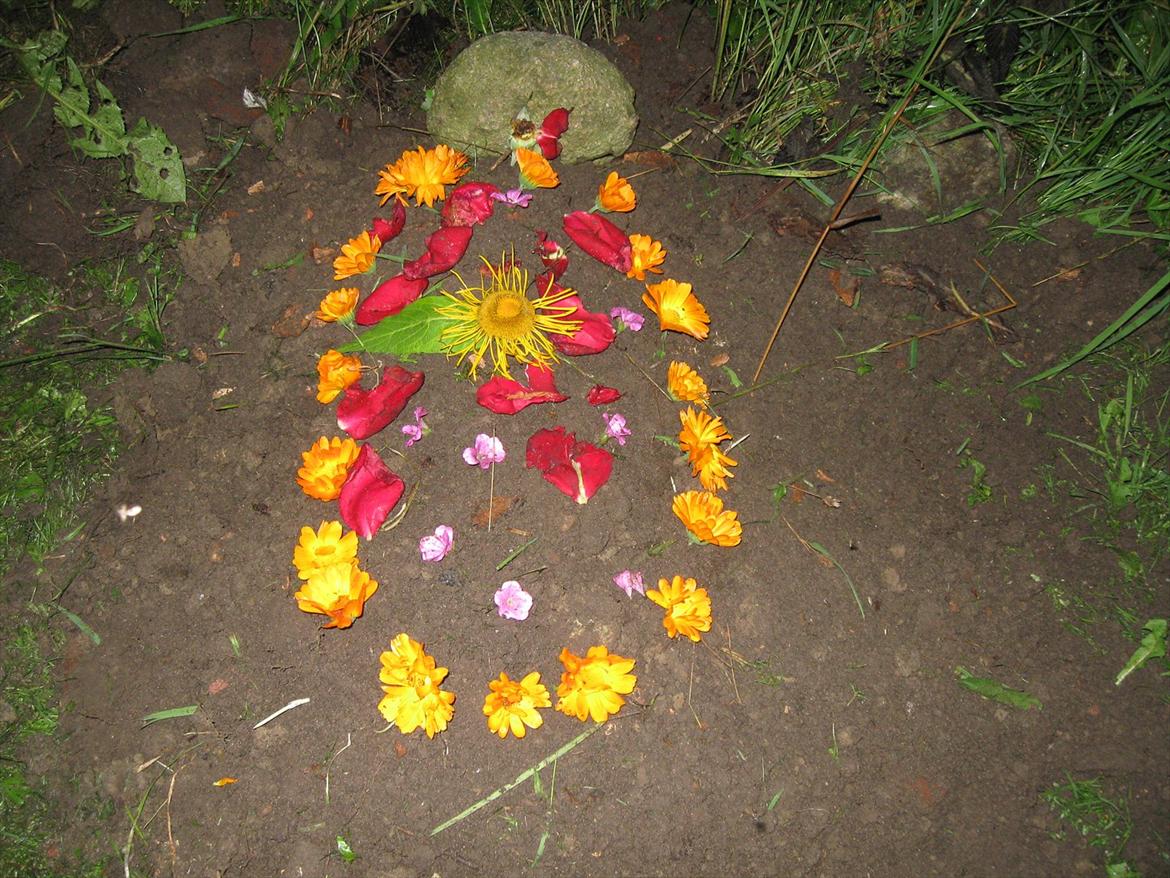 Kanin Snefnug RIP † :'(  - Her hviler du sov godt min smukke :'/ billede 11