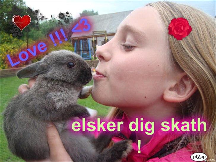 Kanin Filur <3 min kanin død :`( - jeg gav dig en rose og sagde når denne rose dør dør vores venskab du kiggede og sagde jeg vil ikke have at vores venskab skal dø jeg smilede til dig og sagde bare rolig rosen er af plastisk :) vores venskab dør aldrig :) <3 billede 11