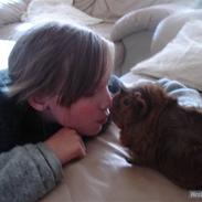 Marsvin Kengo † R.I.P min engel †