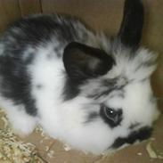 Kanin Buller - R.I.P :'(