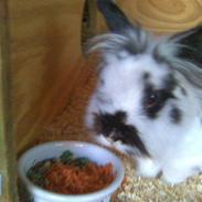 Kanin Buller - R.I.P :'(