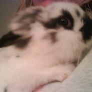 Kanin Buller - R.I.P :'(
