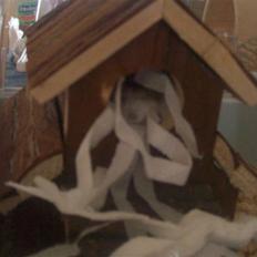 Dværghamster Pelle Prut