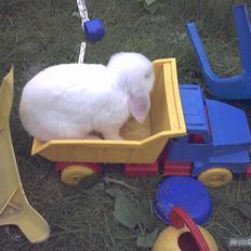 Kanin / Kaninus R.I.P. :´( /