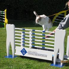 Kanin Winds SCh. Fidi Didi Girl