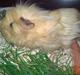 Marsvin Bruno - R.I.P :'(