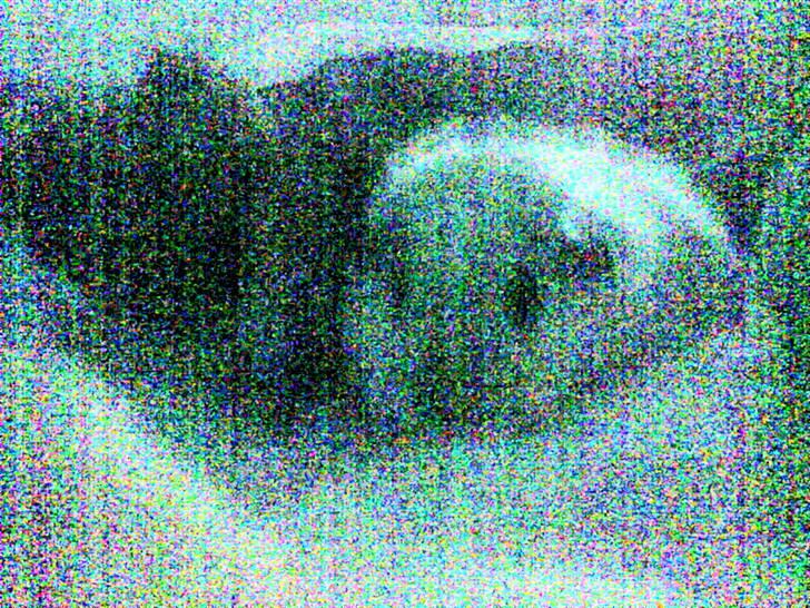 Marsvin Sneps - Sneps og Chika - og ja det var meningen med den effekt. billede 2