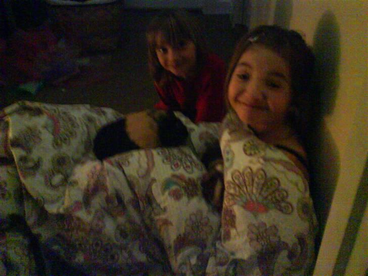 Marsvin Mathilde *Malle* R.I.P. billede 5