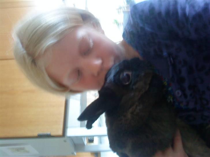 Kanin Ninus <3 - Et lille kyys <3 billede 7