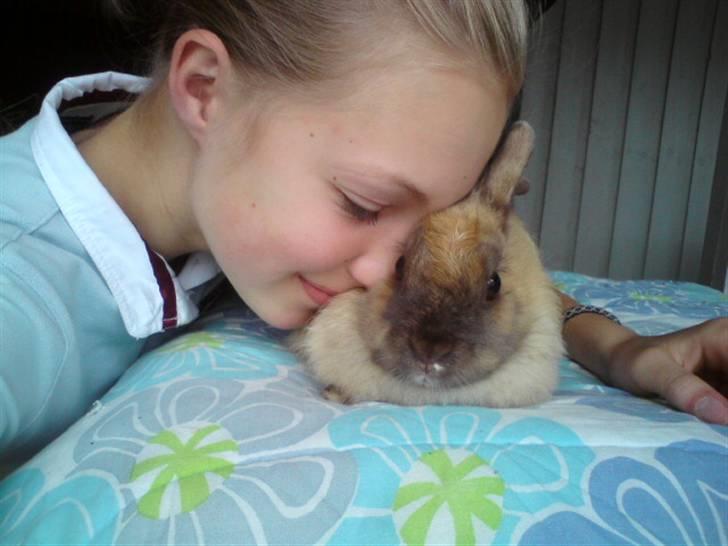 Kanin Perle - Ægte kærlighed <3 billede 8