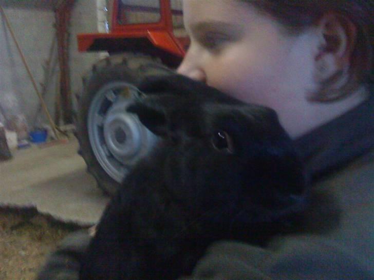 Kanin Vinters Mabell *R.I.P* - Mabell og min veninde billede 3