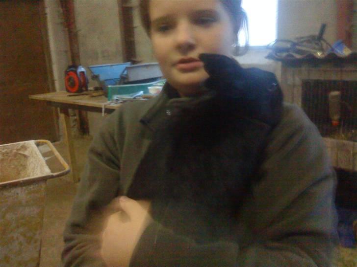 Kanin Vinters Mabell *R.I.P* - Mabell og min veninde billede 4