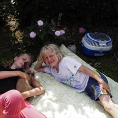 Kanin Spire fra ~Stald-Spire©~ (Stammor)