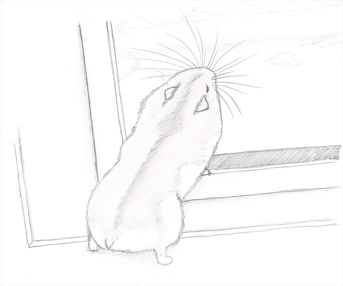 Dværghamster Max - Tegningen er lavet af Louise Britt Pedersen billede 10