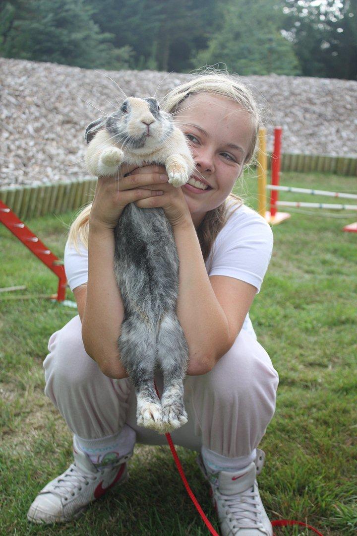 Kanin Sofiagaarden's Speed Ball  |  KLUBMESTER 2011 - Eddie min kærlighed til dig er enorm! <3<3 billede 2