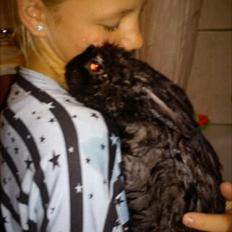 Kanin Stjernen´s Joke!<3 MIT SAVN!<3