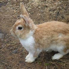 Kanin Noname<3*SAVNET*