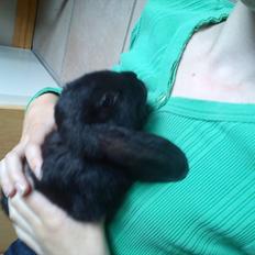 Kanin beauty my superwomen