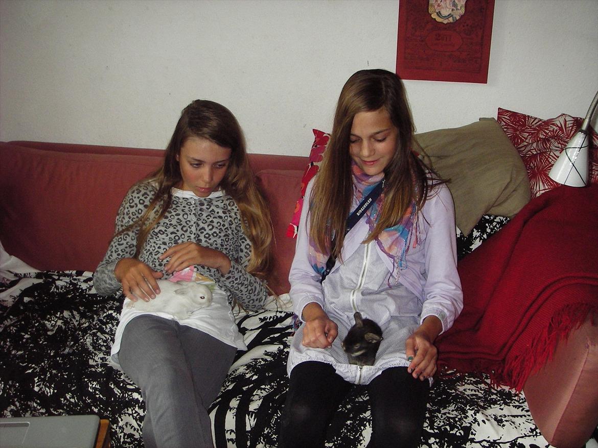 Kanin La Niña Blanca fra ~Stald-Spire©~ - Mig og Stald-Spires medejer fejrer Blanca og Juniors 2 ugers føselsdag! billede 18