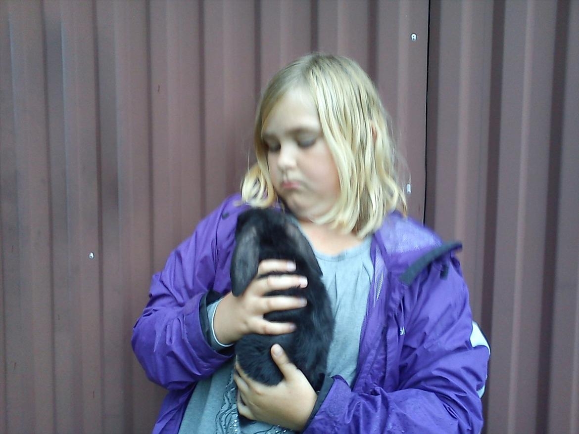 Kanin beauty my superwomen billede 7